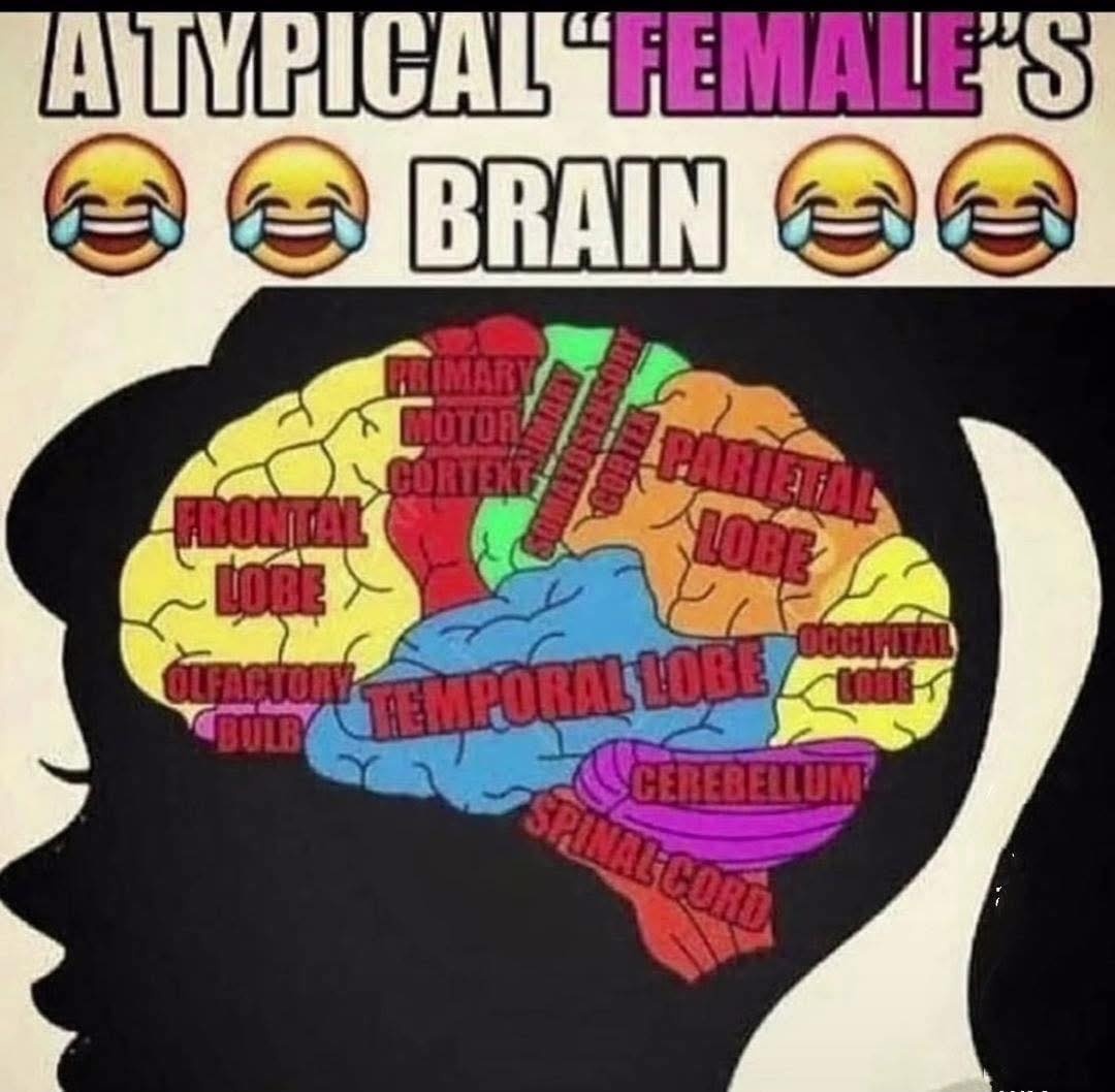 ae593e28-09be-4590-81f2-df41748136c9