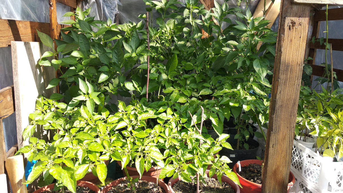 dfeab7d0-6178-4518-a97b-d86b131905e8