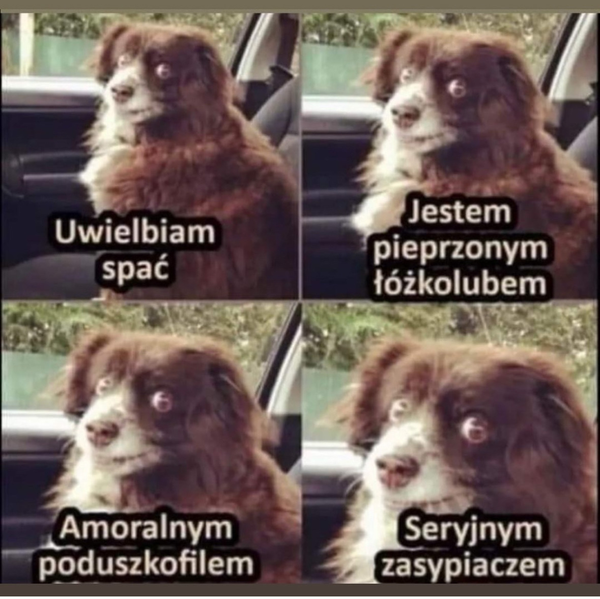 dc1c2b97-b7aa-4f9a-9aee-38d8a72b0e66