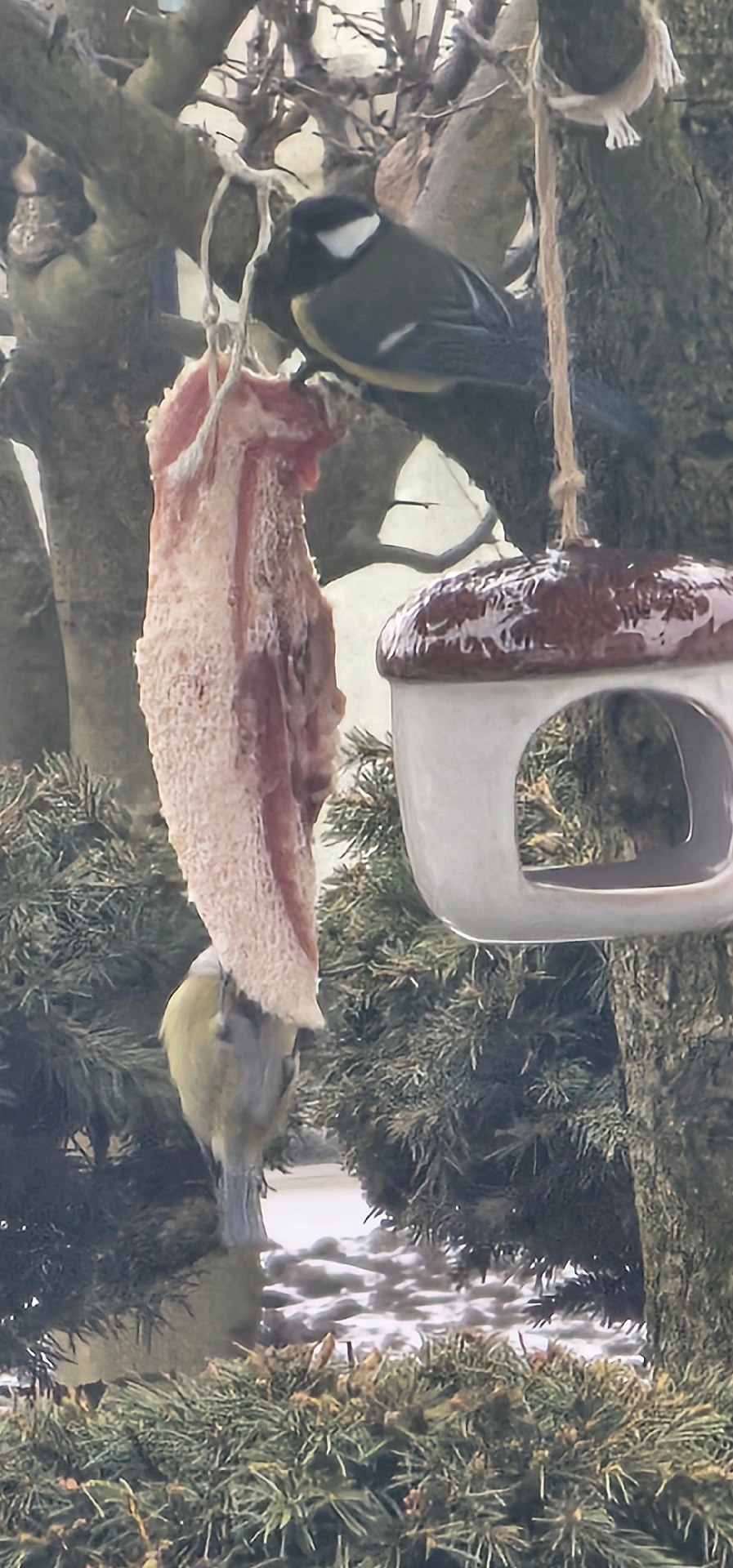 631862b3-0fc4-4f55-b3c2-32b490f0c2ac