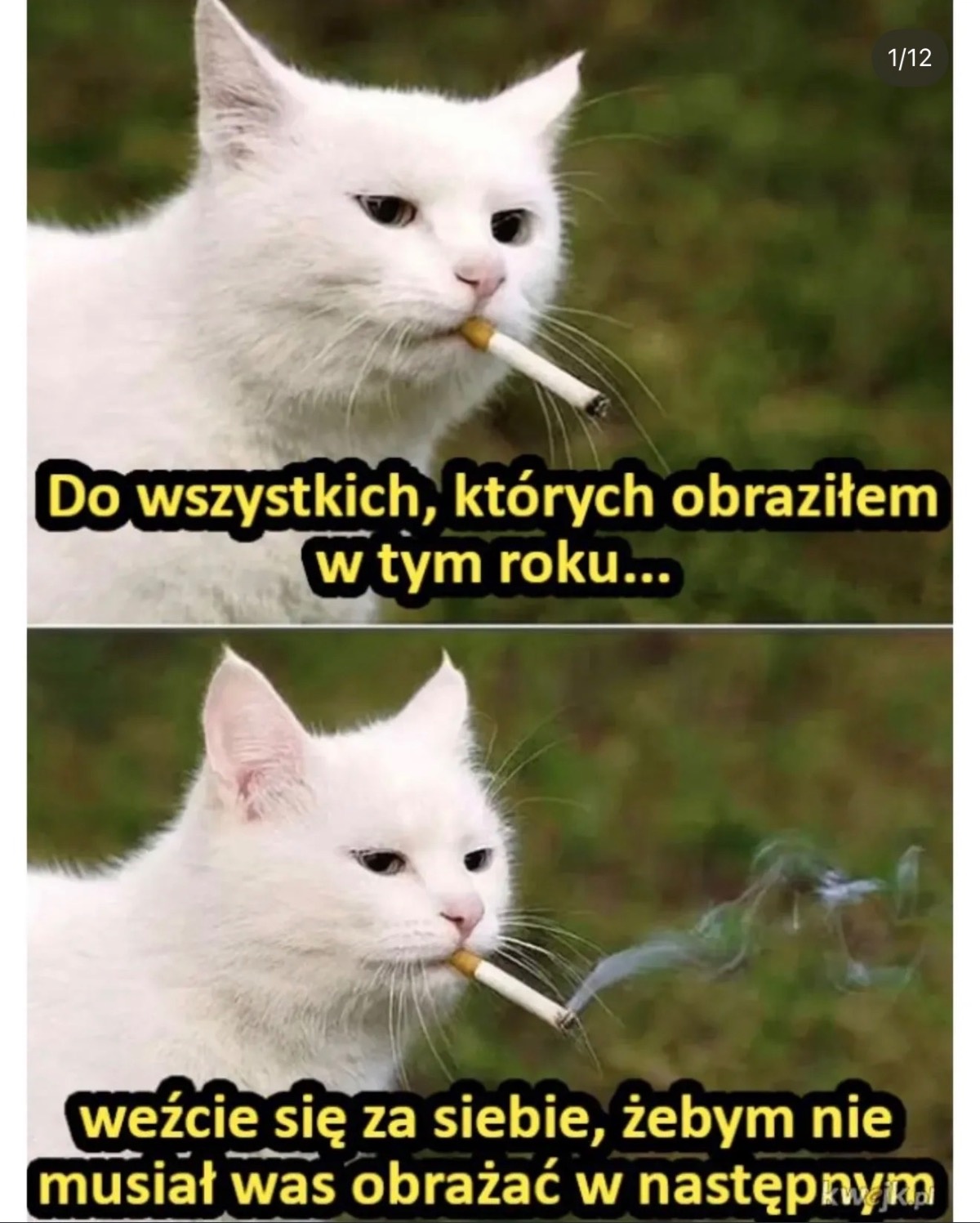 067c5938-a983-4382-8cba-c14dfd47496f