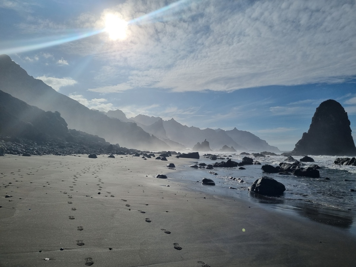 eb3ea328-7e71-43dc-a7fa-0823f8201cdc