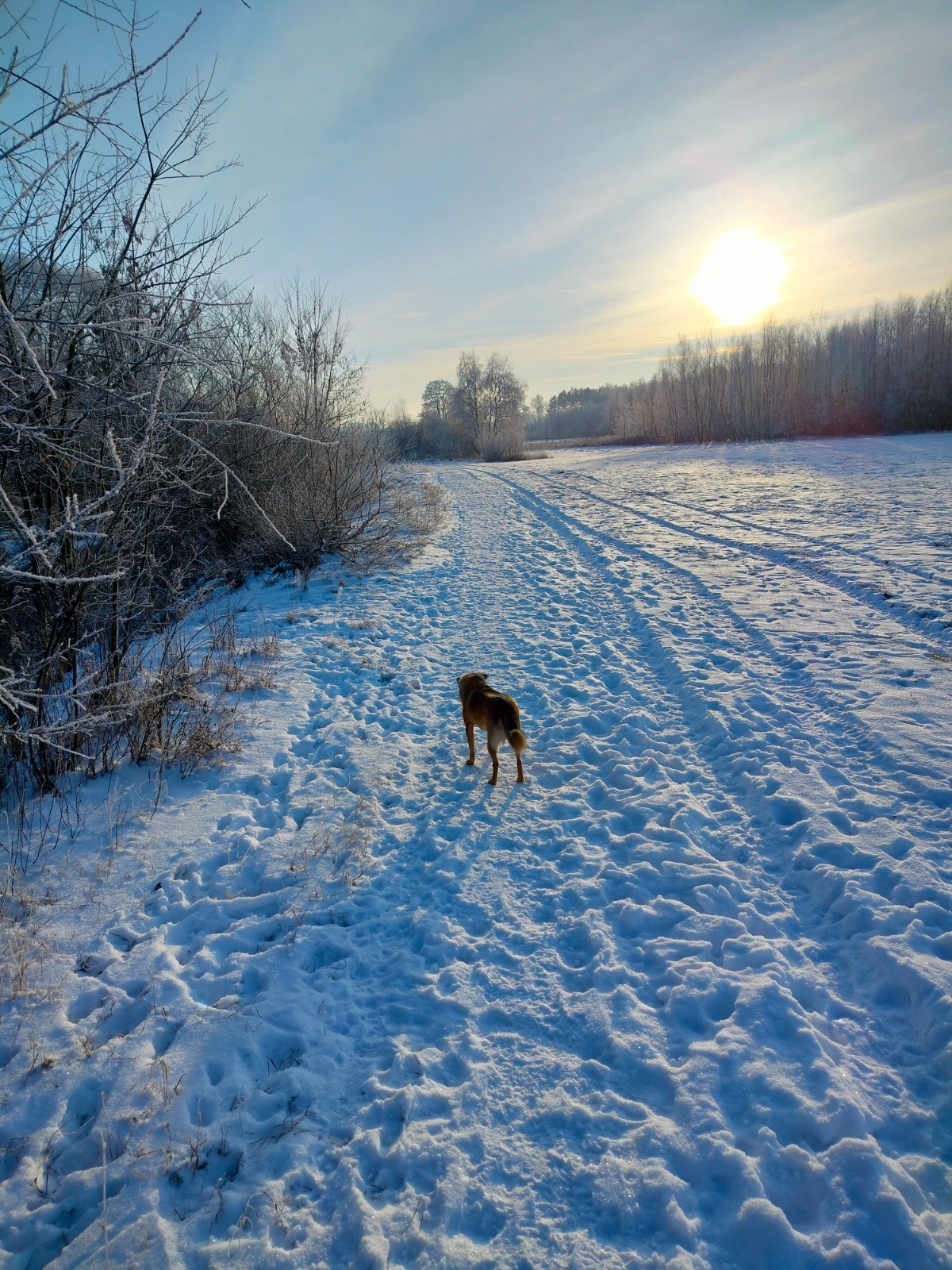 8f62b4c0-b5e0-46d3-9dd2-b57cbe4f5ac6