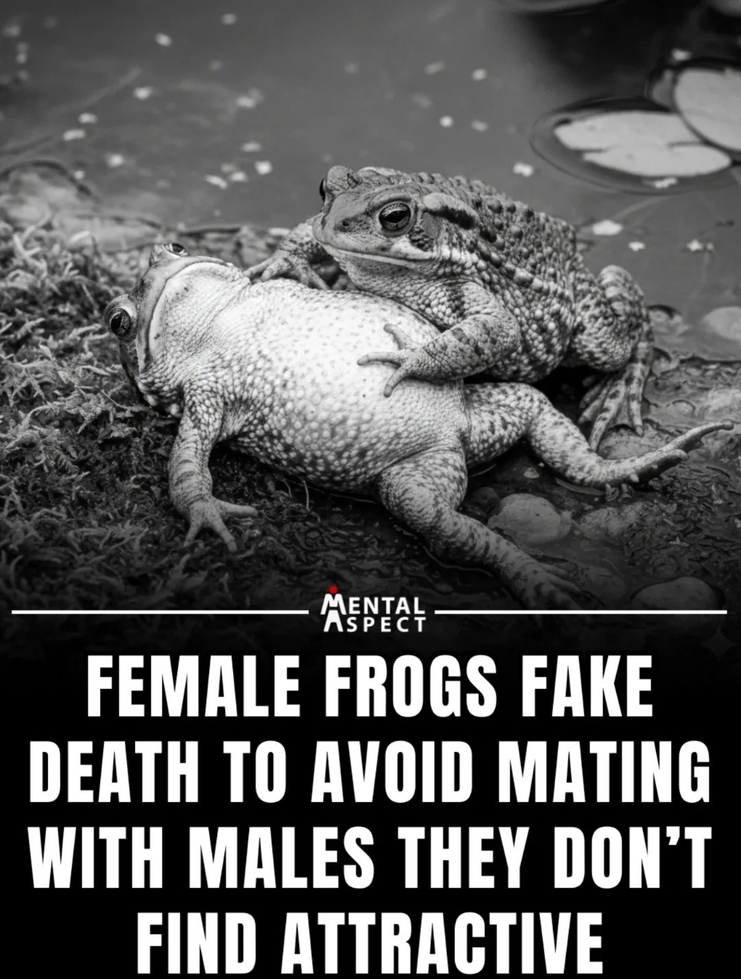 9d555a38-7ad2-49cb-8a1a-615c0afd946b