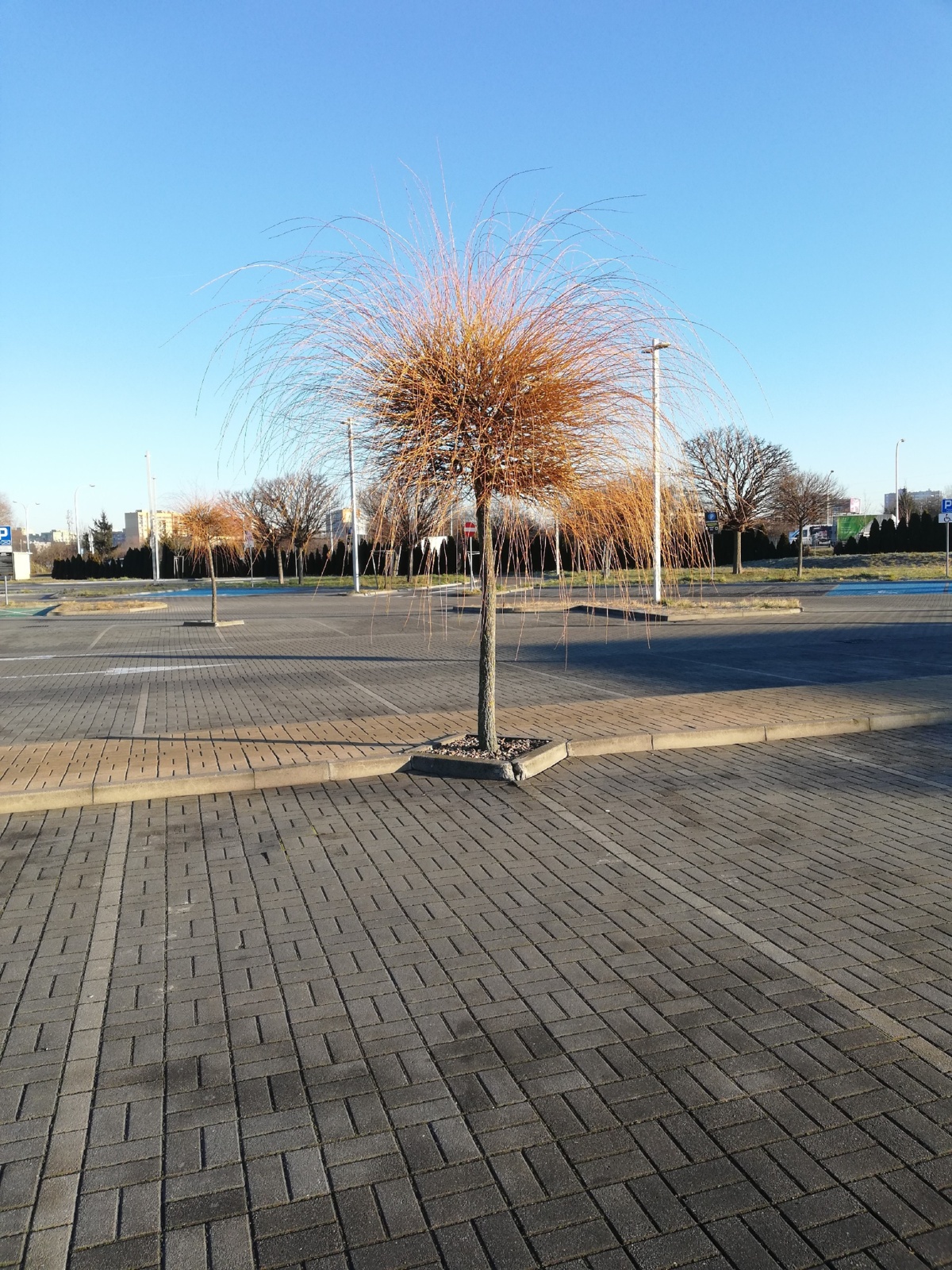 fa67ccf6-4ea1-400e-94db-ad17ed3d086e