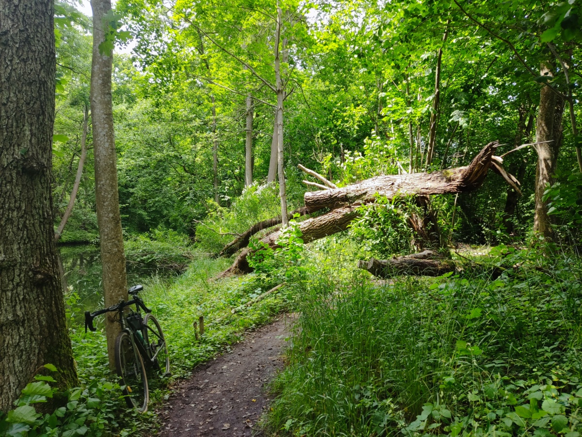 1d7a5d71-ad1e-4d1e-a1d4-dd78a2c037a3