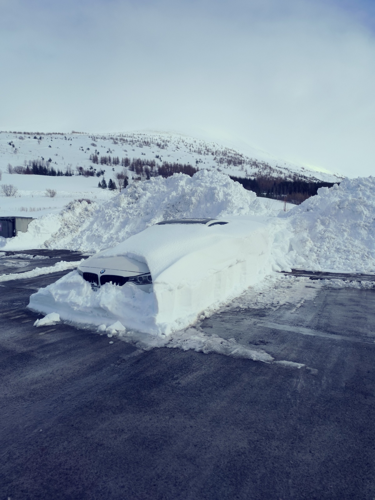 955502a2-641a-462a-98da-28750c0ce2ce