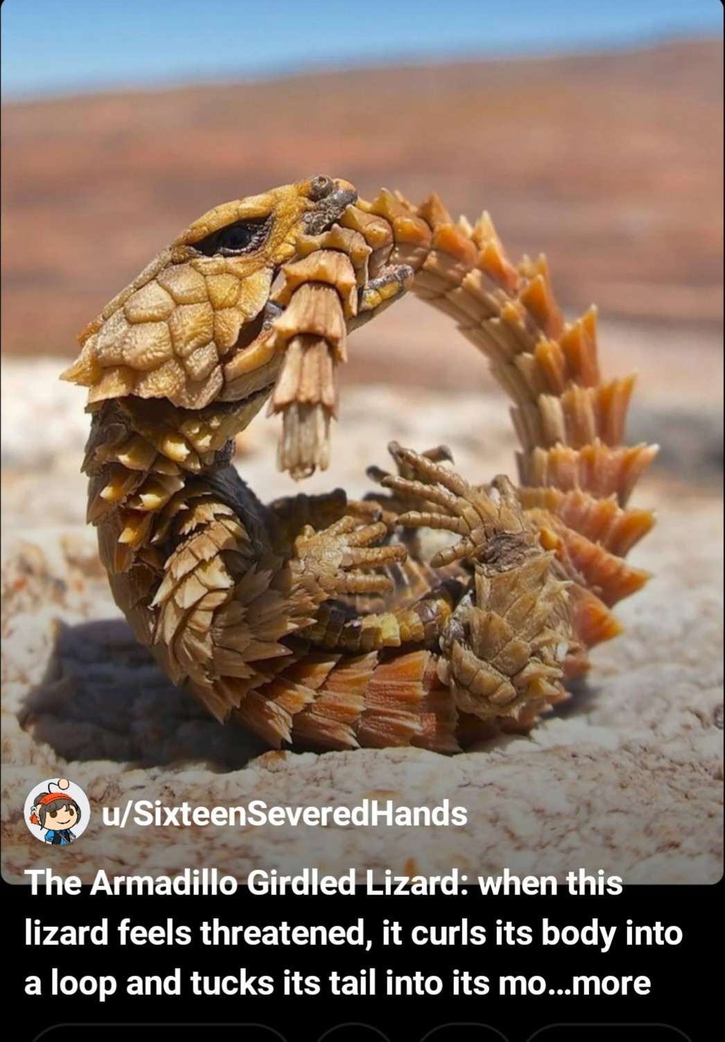 7e72d60c-a012-49cb-8532-eb15a152860c