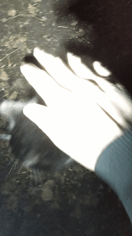 1b640185-6135-4715-8a74-fe24d3f5ce1a