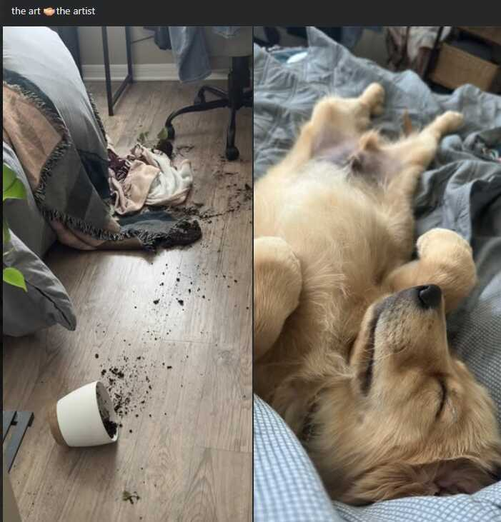 eb079f5a-6997-4dcc-931a-4d569c380694