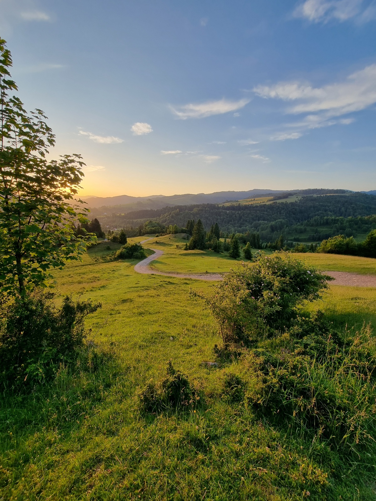 38516c9b-c7b5-4878-8cb2-08f077636e24