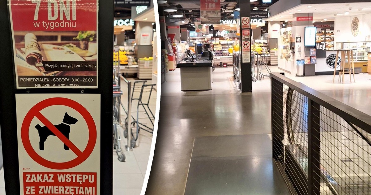 Duży supermarket wyłamał się z zakazu handlu w niedzielę. "Zakaz? Nic nie szkodzi"