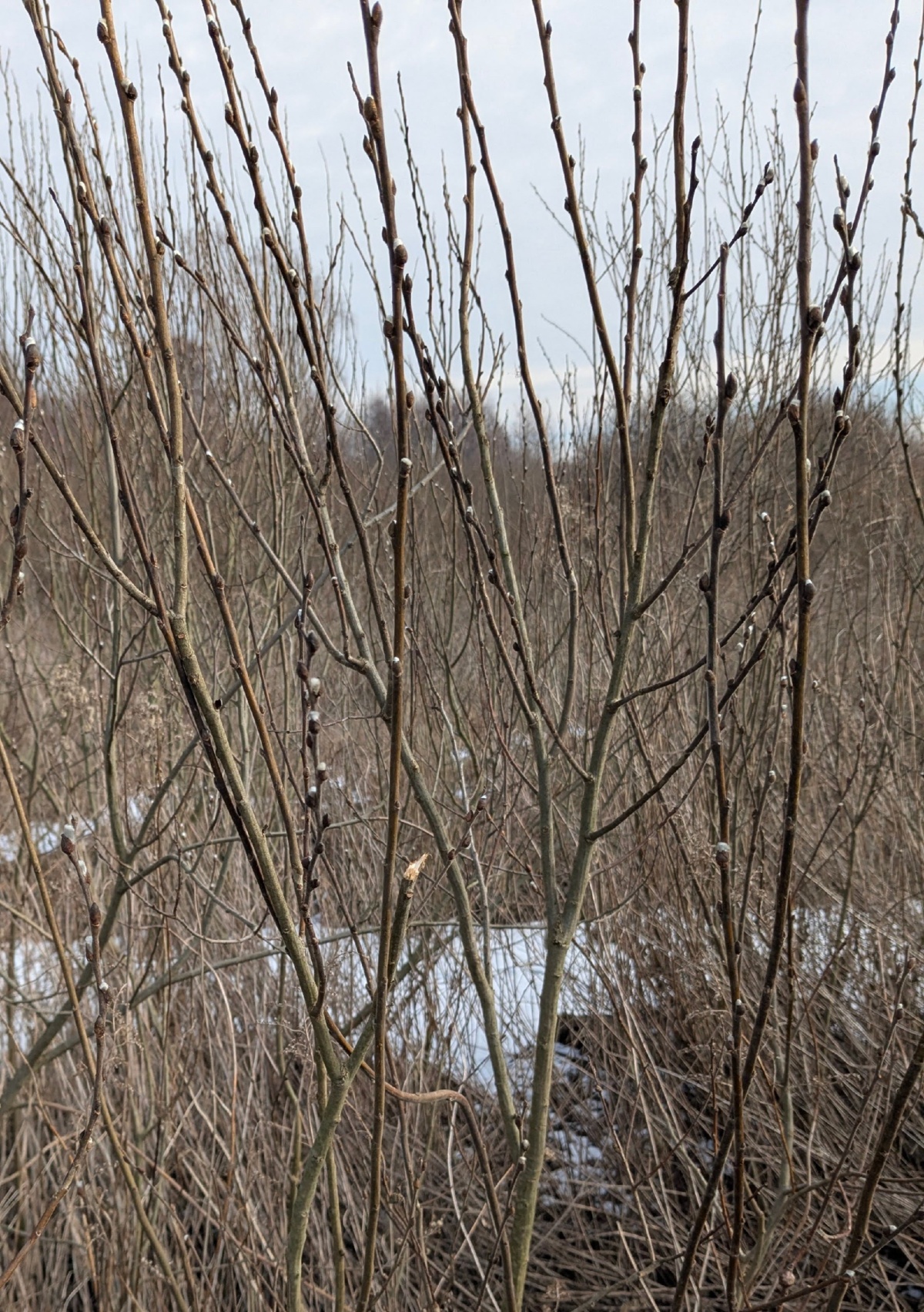 ee8face7-8b88-41da-bab9-9627d6327bfd