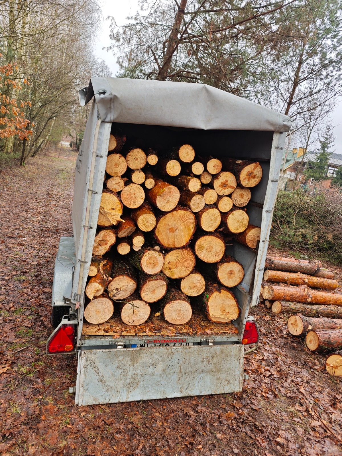 2c0f4e1d-a91c-423d-b9ef-4b6b2ccc4469