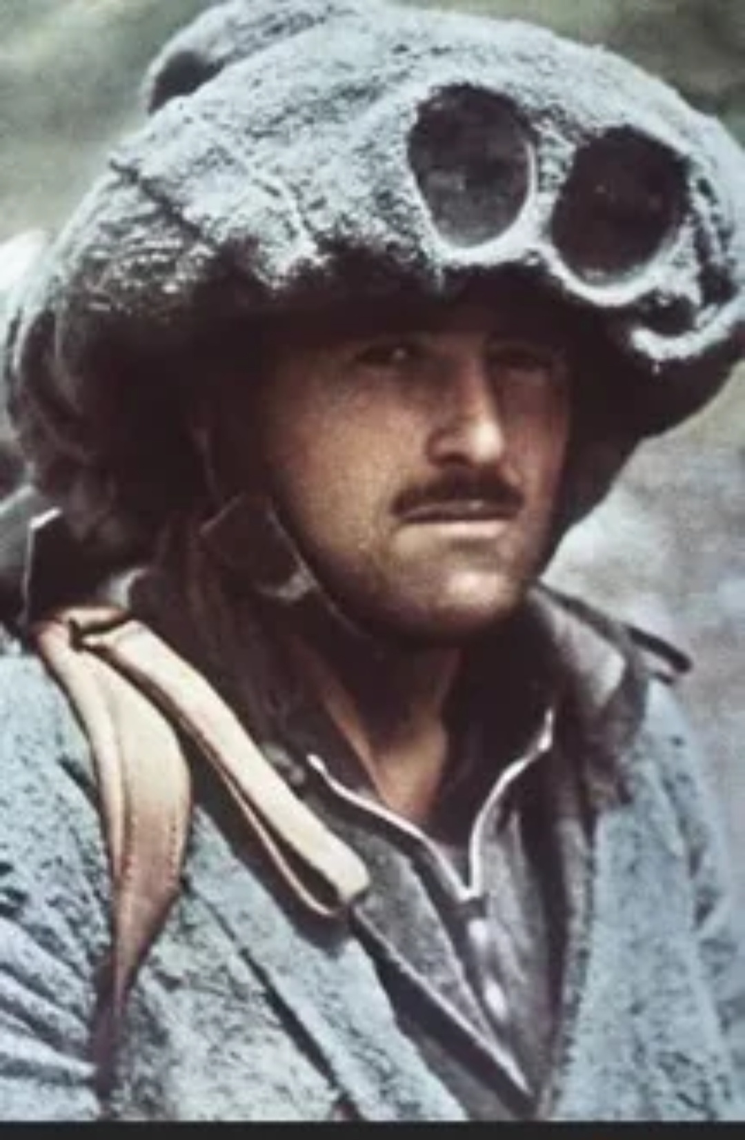 95a4ab35-4709-4ae5-b73e-16c6efeec64a