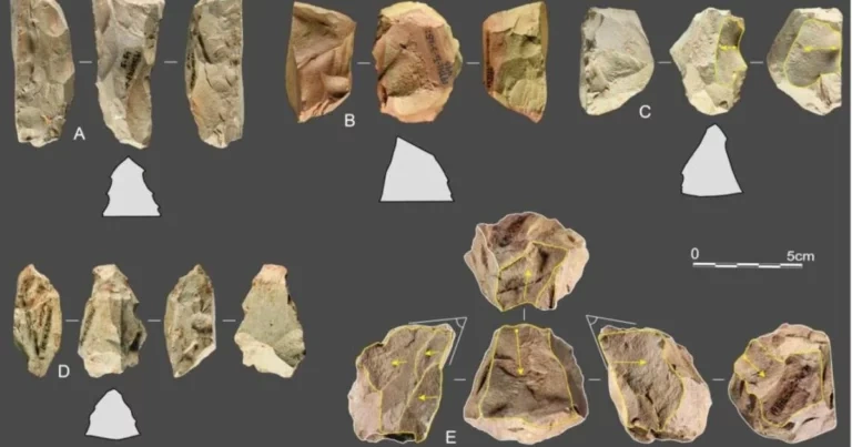 Odkrycie narzędzi kamiennych w Chinach pokazuje, że mieszkańcy Azji Wschodniej wprowadzali innowacje w okresie środkowego paleolitu...