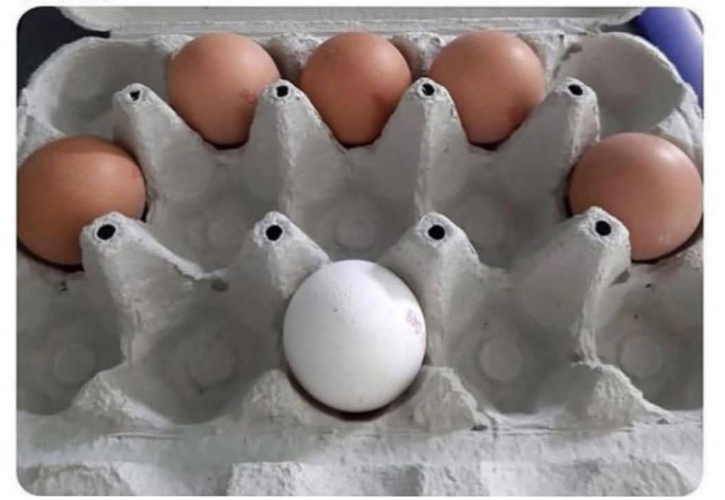 9dd93ad5-f781-412d-b573-0161870fd67f