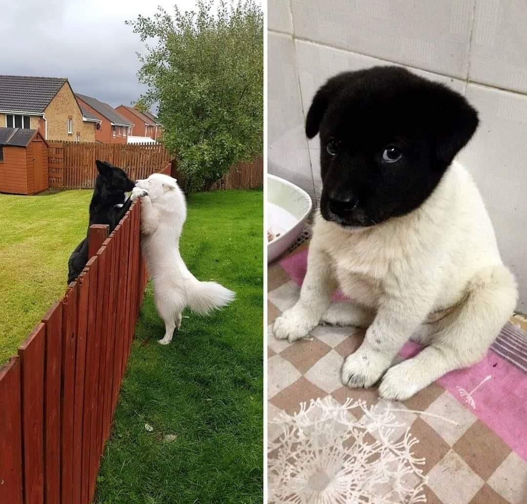 3984336d-e9fc-4afb-a65b-5f1745959178