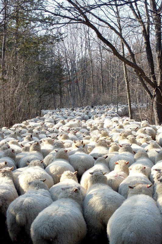 decca046-33ac-42e6-a594-9b8367925e83