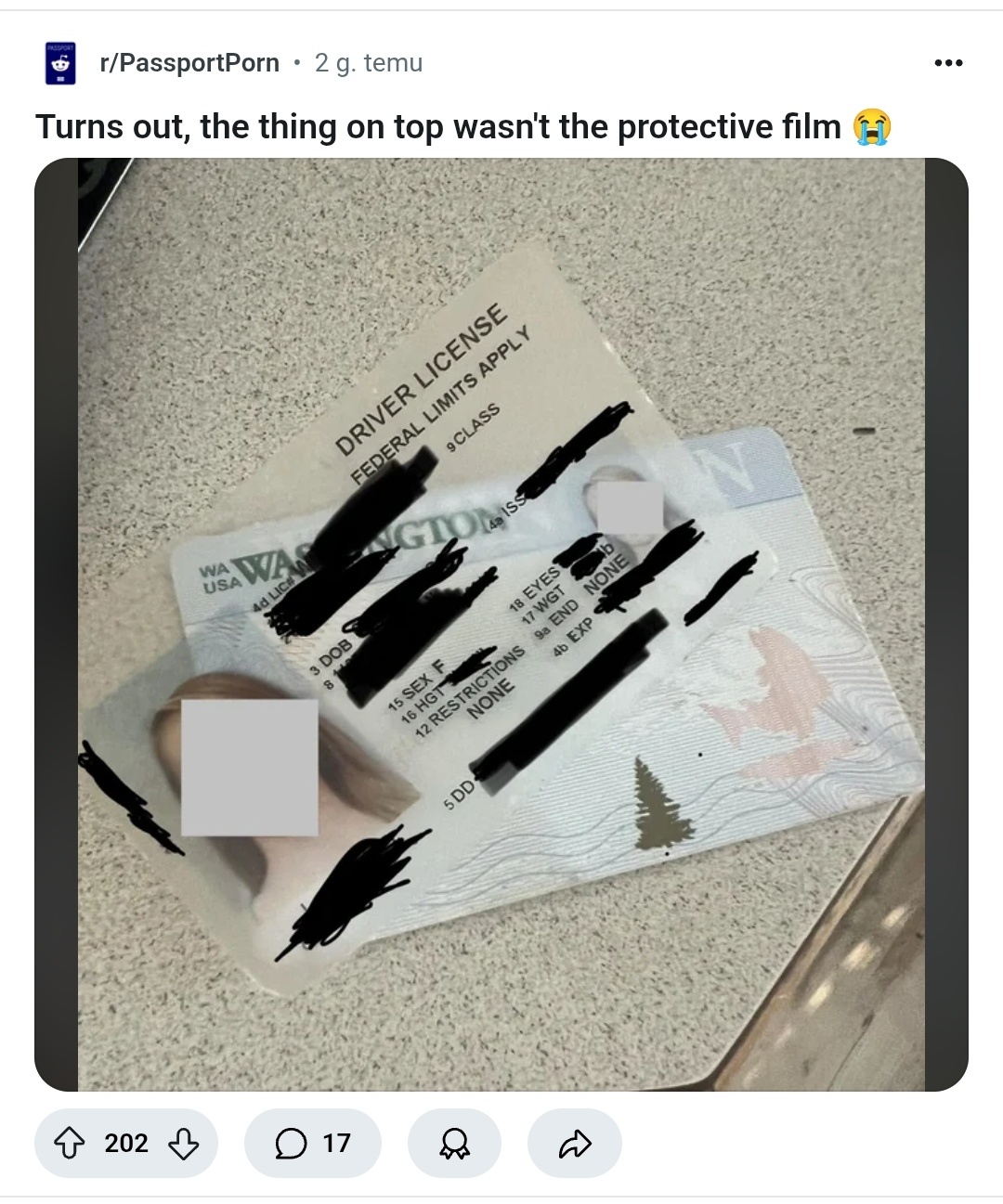 f9339875-9a93-4aa3-993c-a67dc79d2659