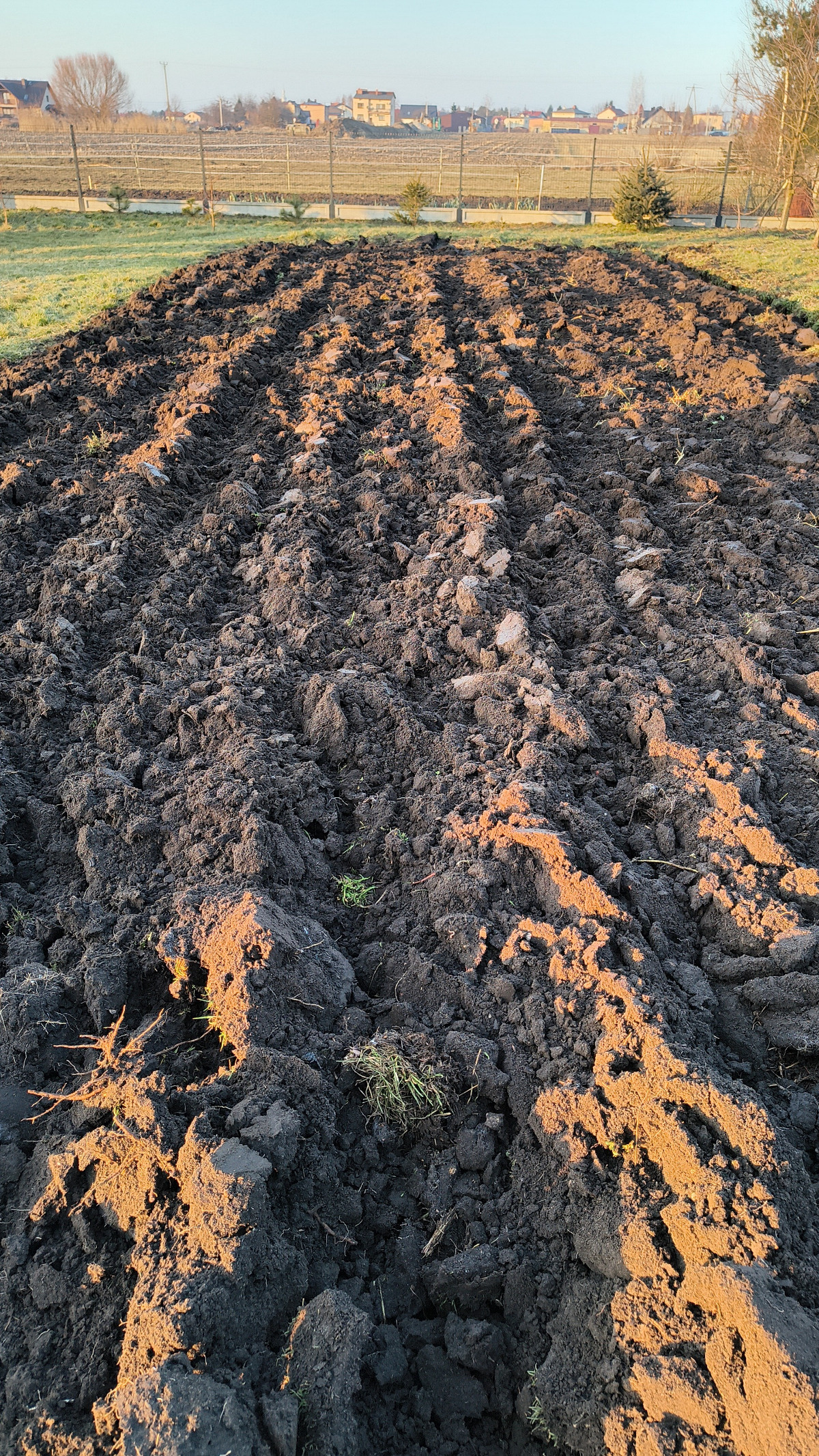 65070832-561f-4b77-a331-36cec8531cc0