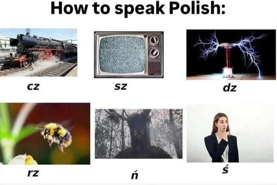 96b067c3-ce1b-4adc-9b73-8deeeb79e10d