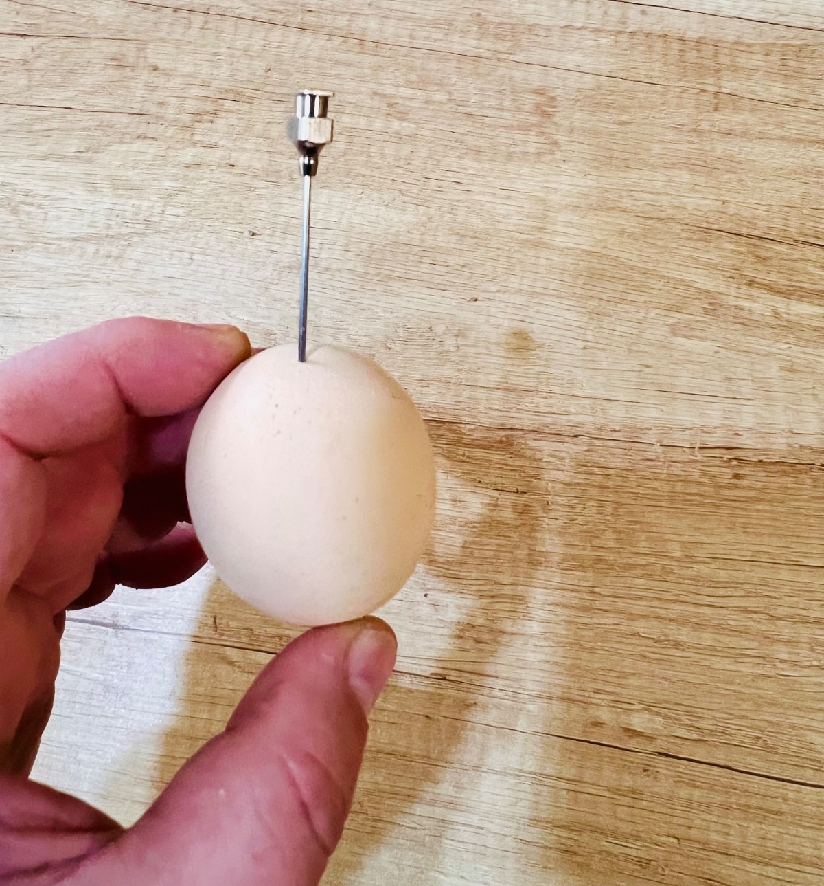 02852cb8-d03a-4bf5-8f69-c873169b6851