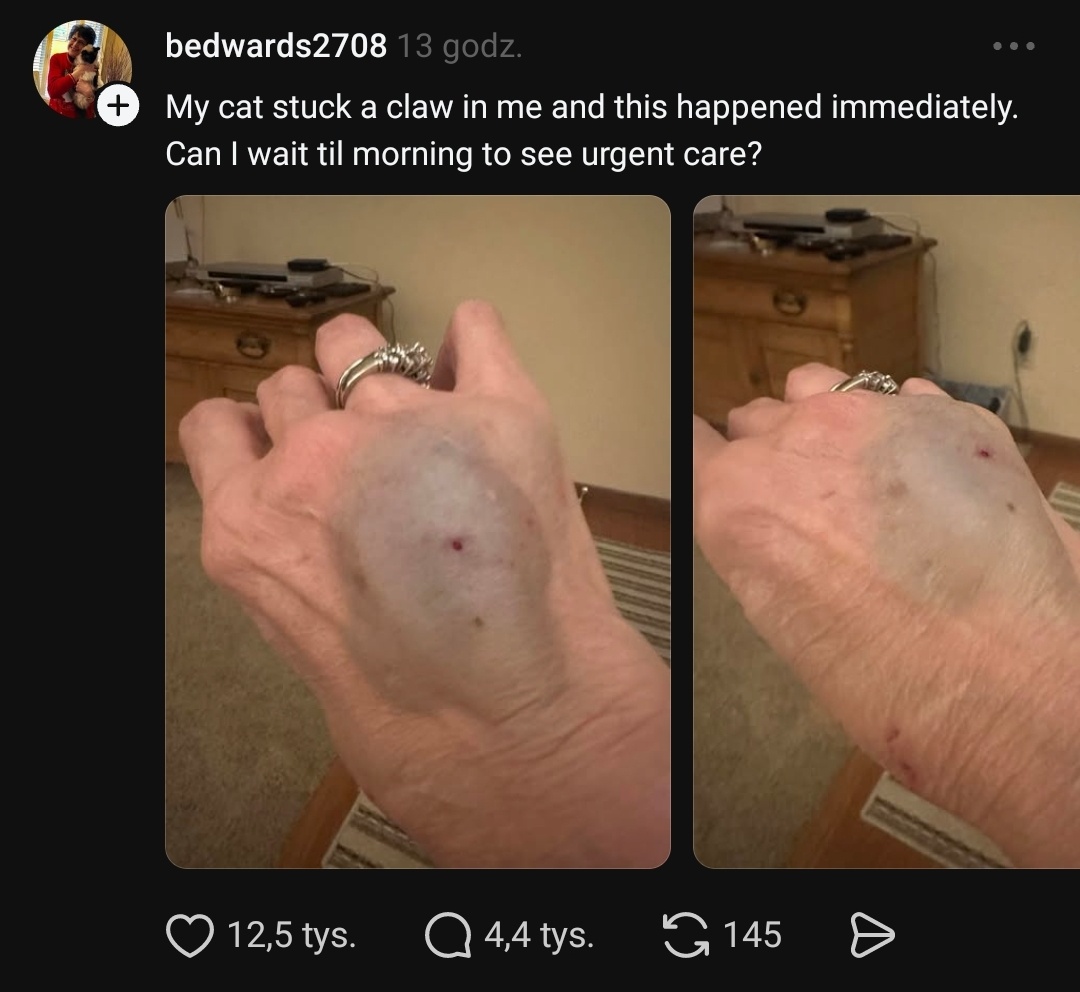 b50bf817-4082-4e8c-9151-c72be8f9a4f4