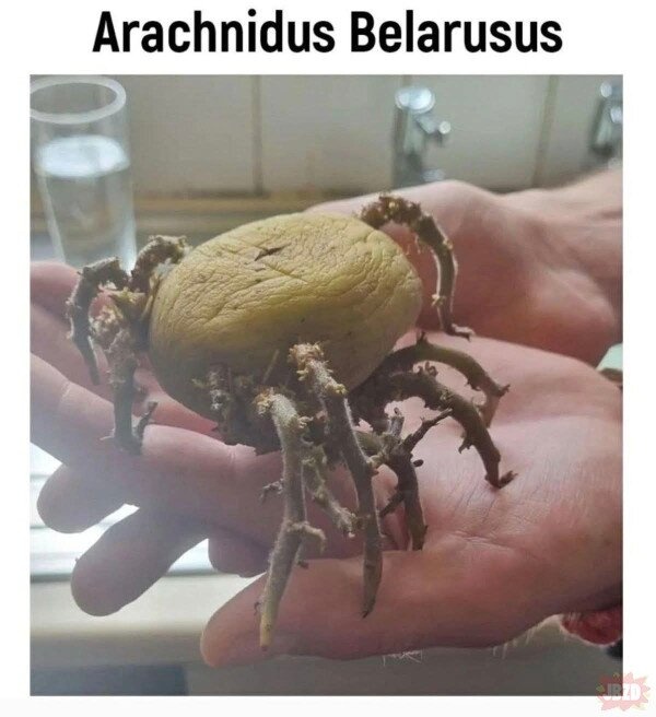 08c3f411-8b29-4e57-9141-97e525ca1cdc