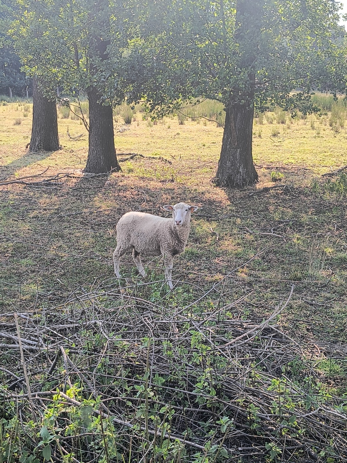 62355051-68e6-46f9-a203-01ec2c2b0079