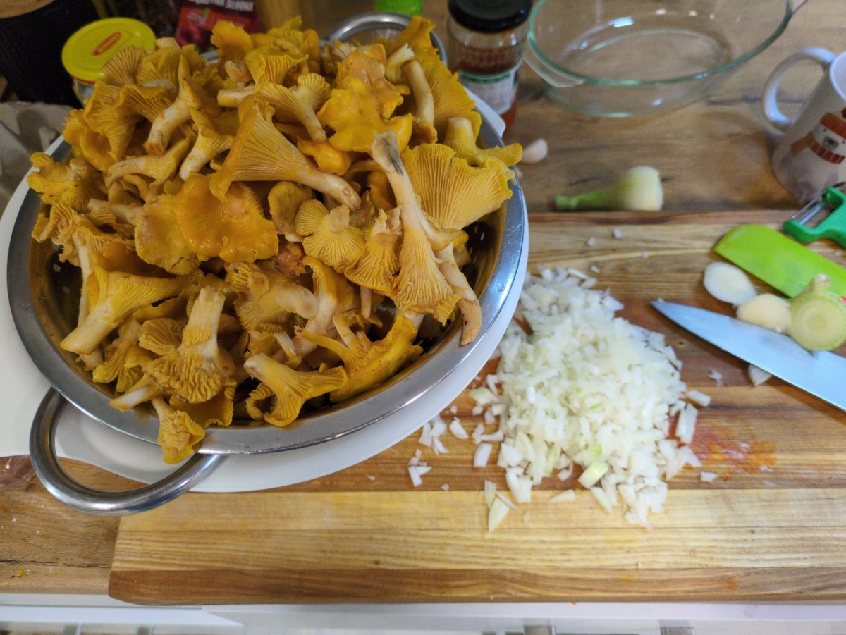 0d504bdb-ad25-46df-9fc7-a221b48357f4