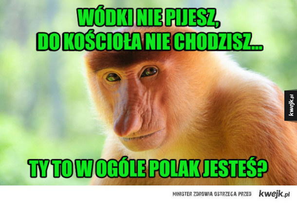 8e343a45-c867-499f-b0b0-cf99e46e3815