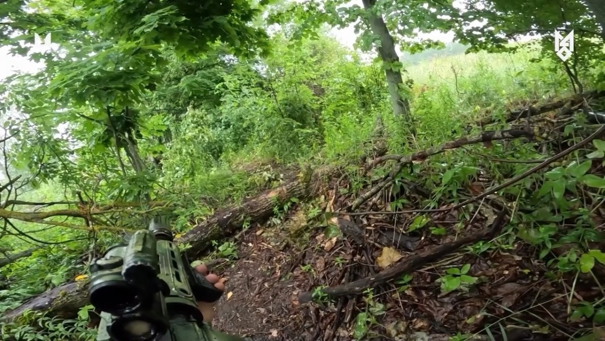 9584457b-a027-467a-b19b-ec2788396232