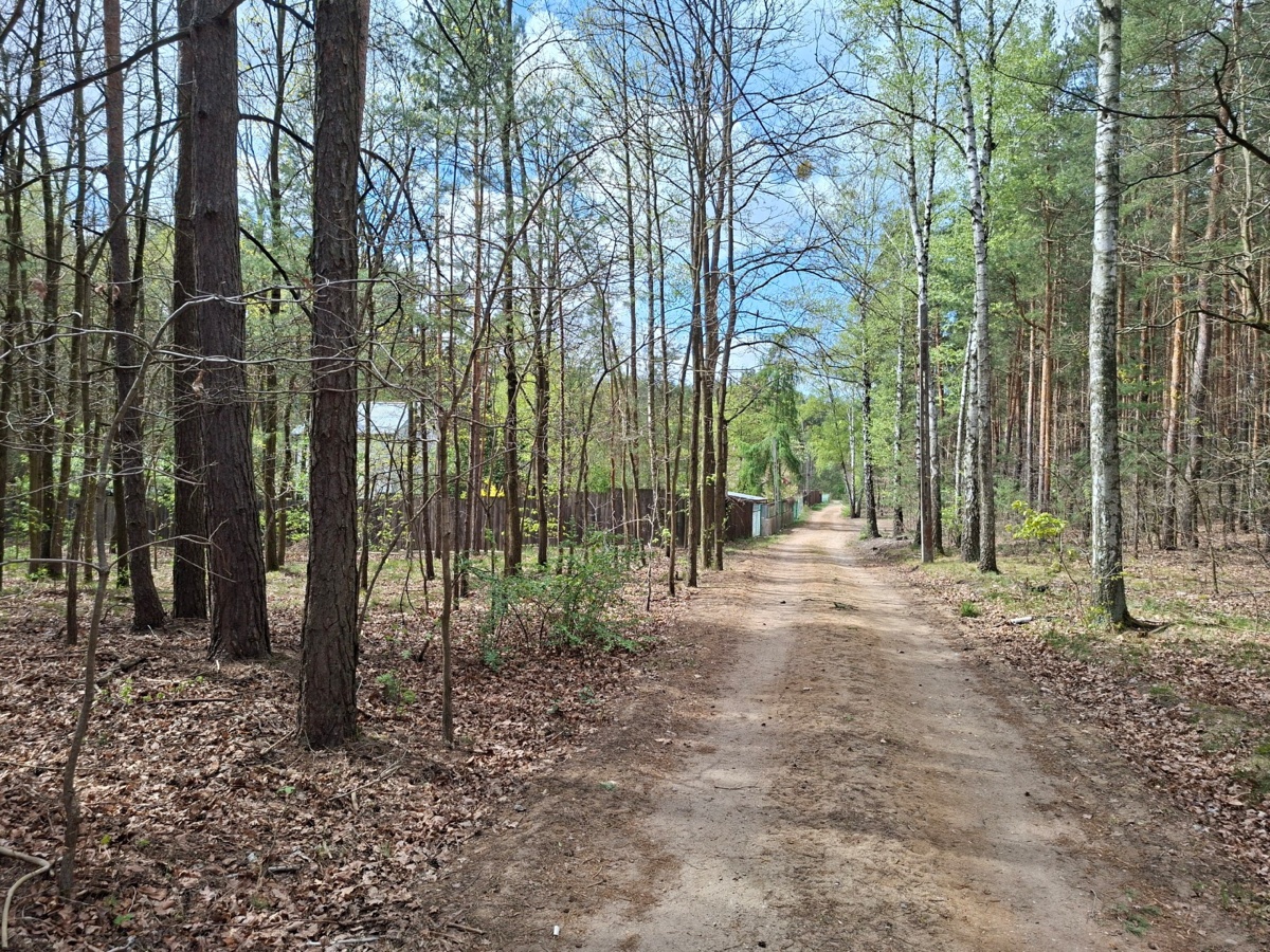 48953cd8-8c25-4c02-a4f1-0203f257560b