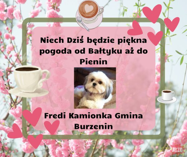 ff982cad-d6b3-4828-b465-46bfc1072bbb