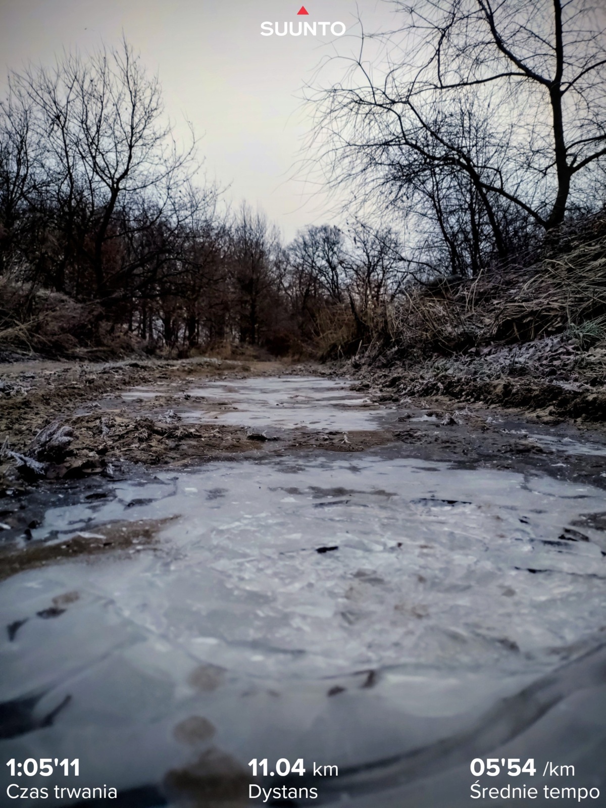 fd30804a-f5e8-47f6-8e95-cd71c0aa1e60