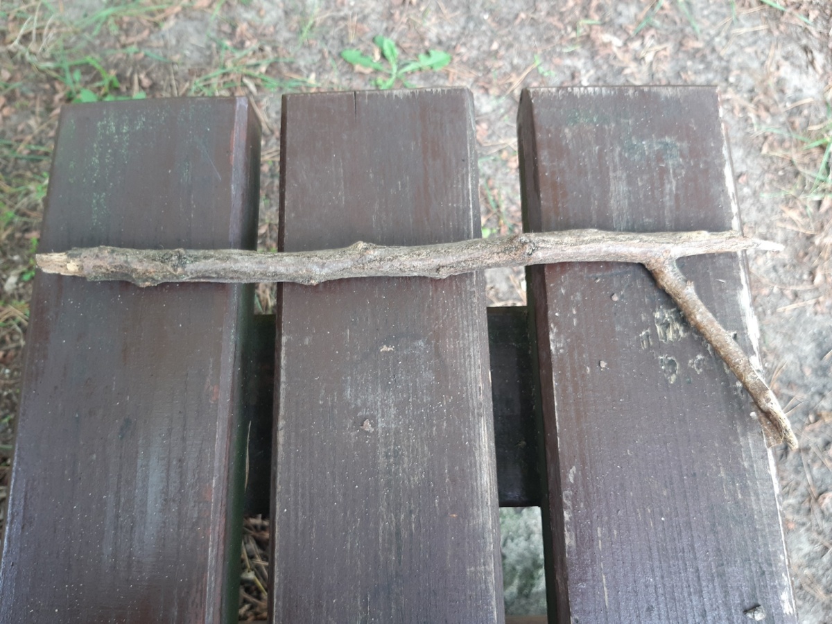 c46f3c82-795b-4875-b9a8-5f0814713b6a