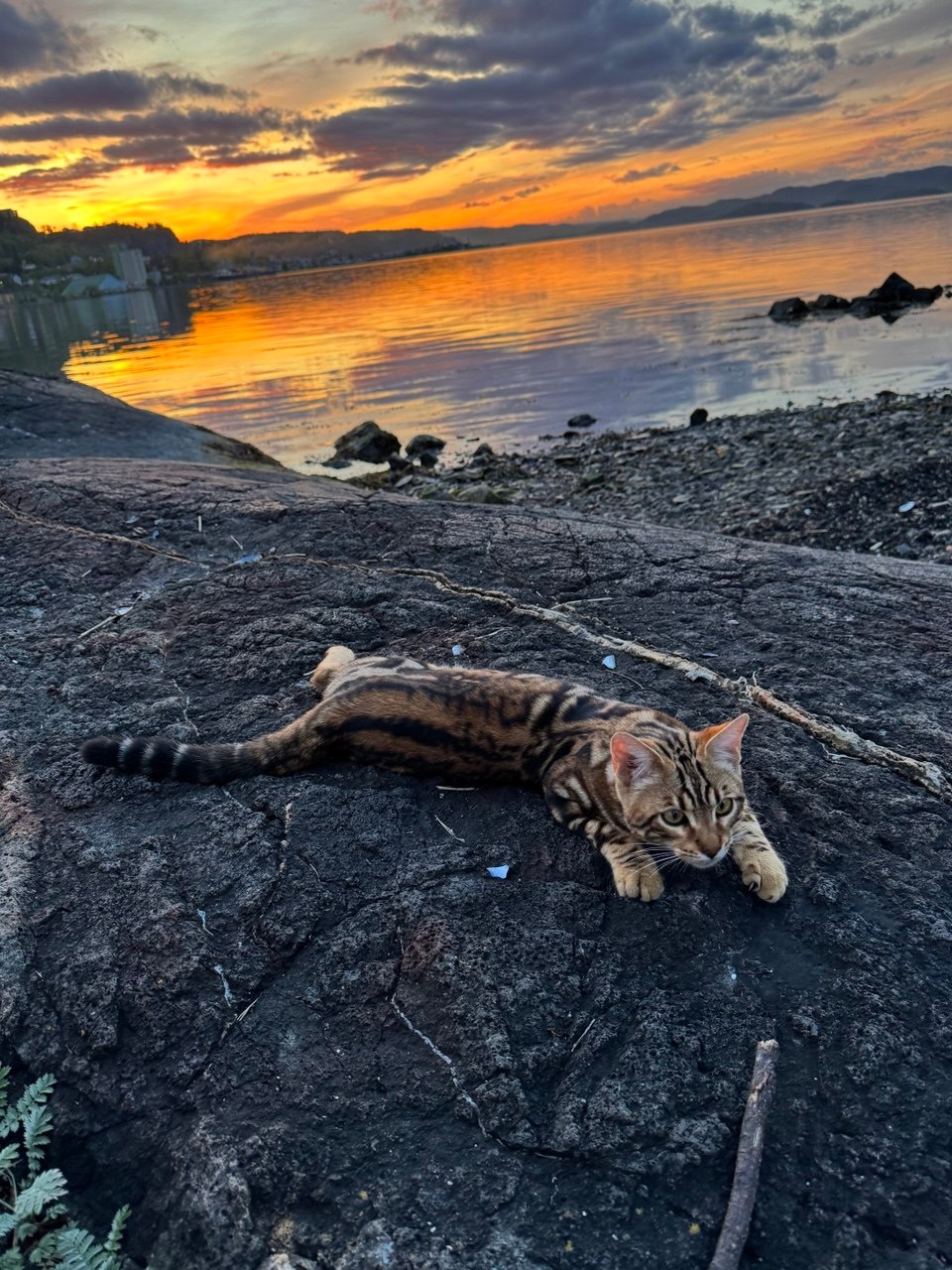 023f1e10-5053-4c4f-a7b5-483940479060