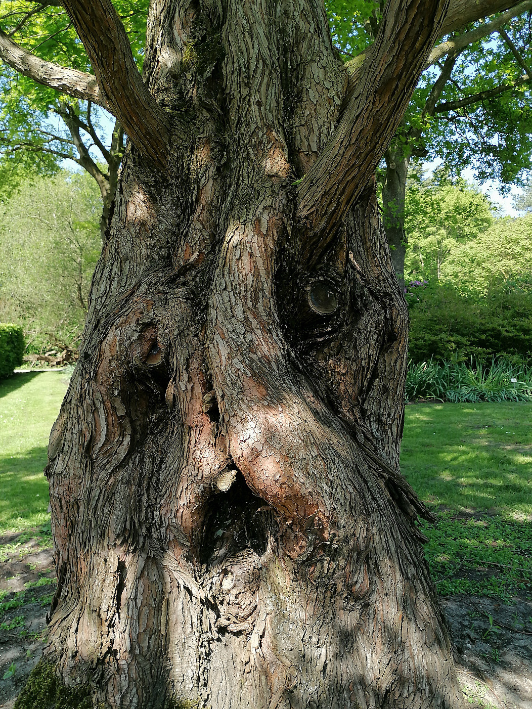 b64a0654-d87c-42d4-8f2f-84c998dad76b