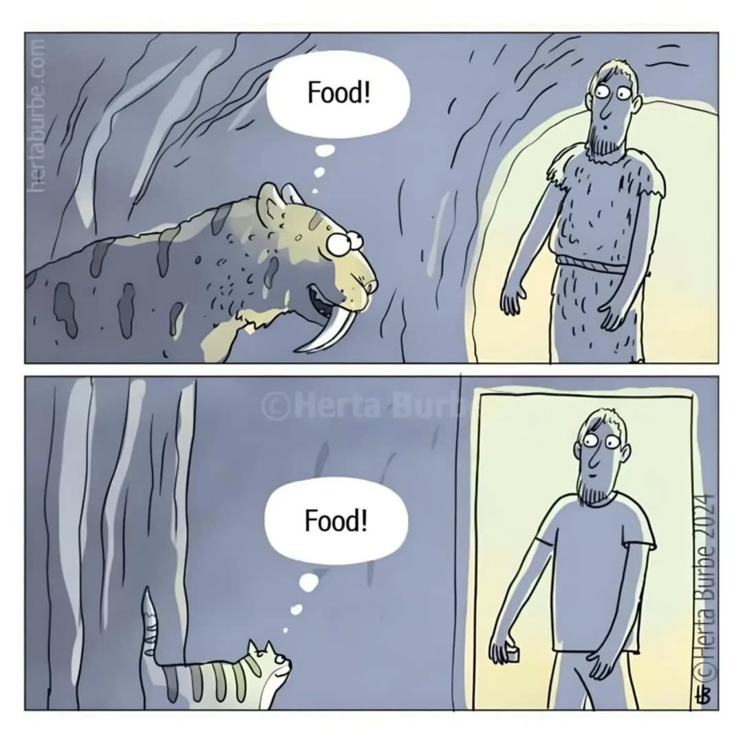 0a1377b1-c502-4f26-848c-cbc593c2f16a