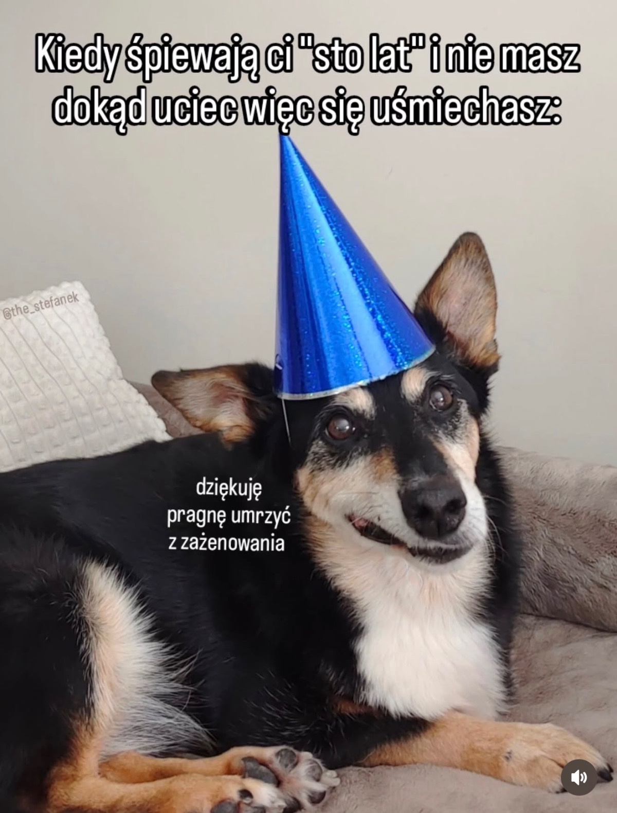 e55d19b5-1421-4a03-a6c5-37ccdf2a0fb5