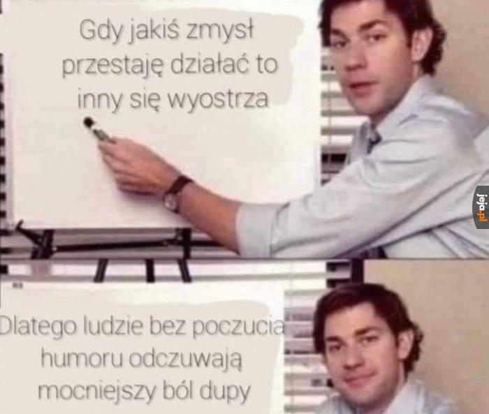 c79cd411-859d-4473-8270-4336ae299907