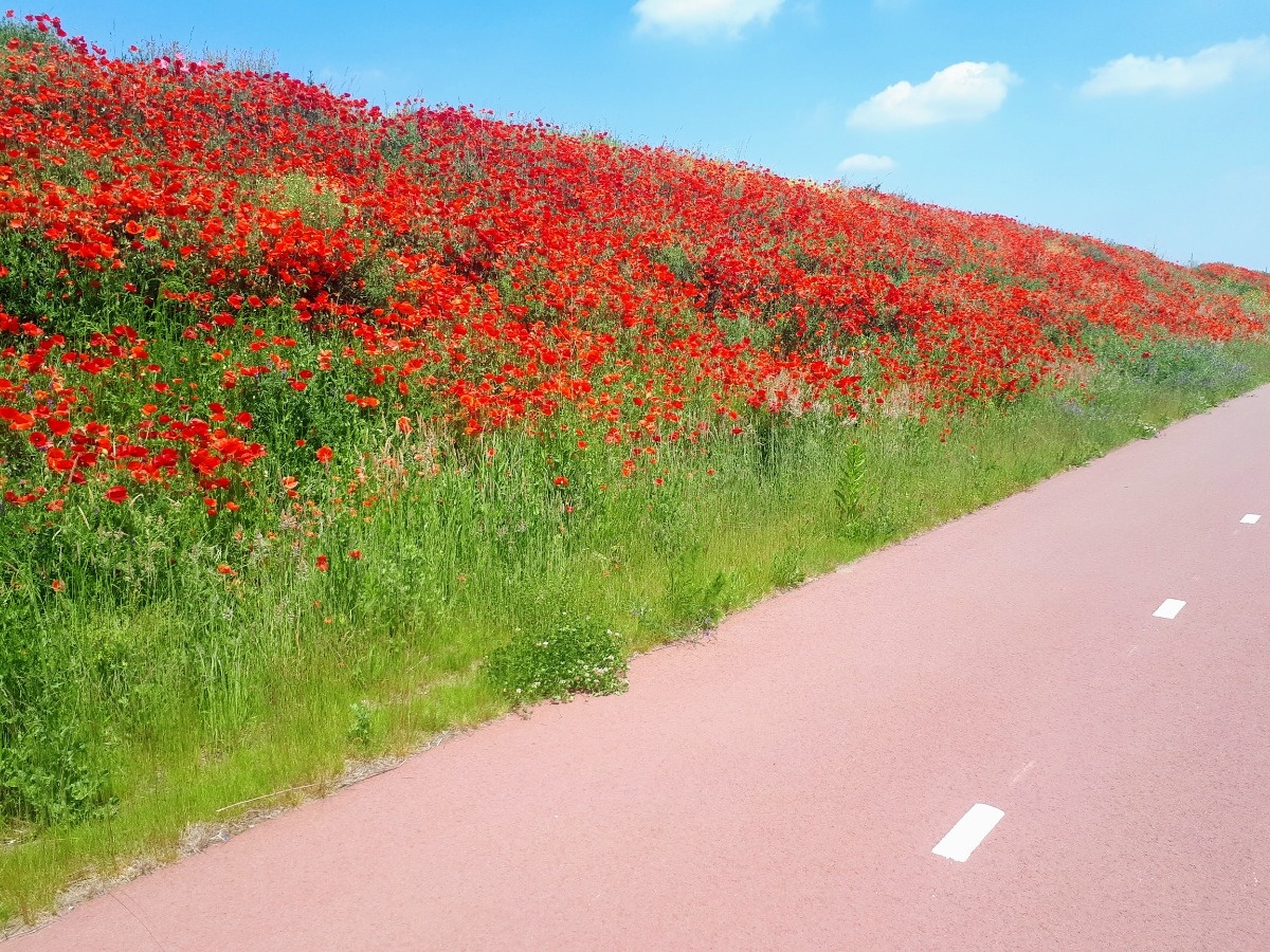 e8760b1a-07a9-4317-811b-b73d55e9c761