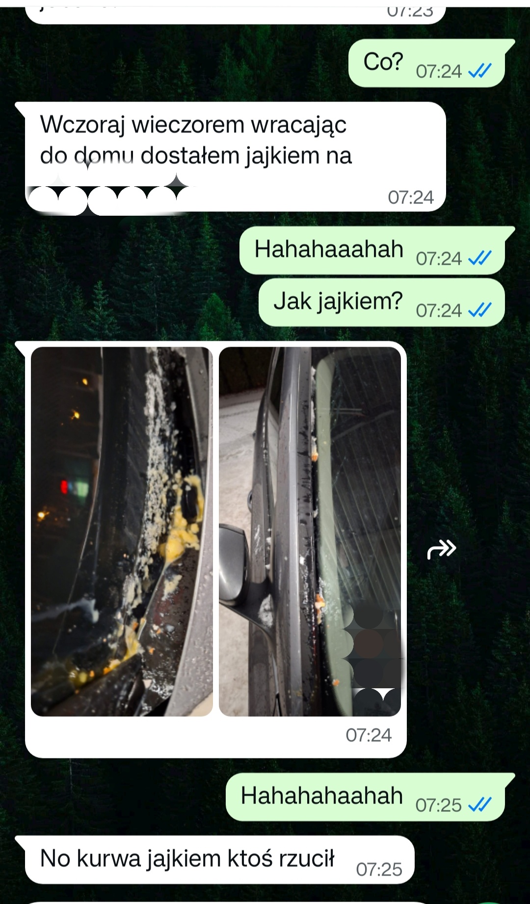 e5bed8ce-dd67-4c9d-83ee-8496beaf9a7f