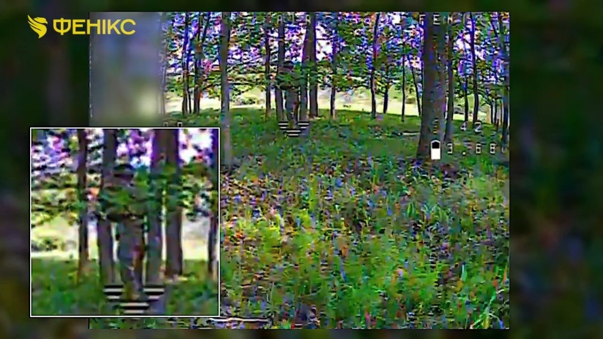 e22fef10-54f2-4eb9-82a5-94f49dabc897