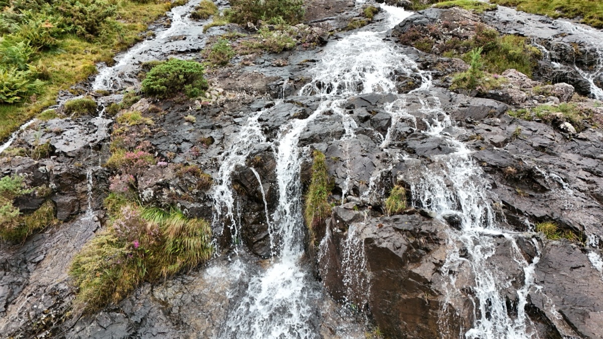 2d044029-7184-49ca-8b7b-1eb43bbf9cad