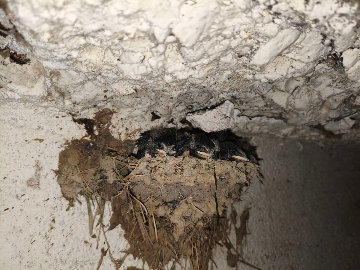 a7d7850e-fc77-40e0-a6cc-8aa4663677c3