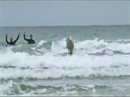 7ec94e3f-36cb-4208-b0d4-f84502ef5c11