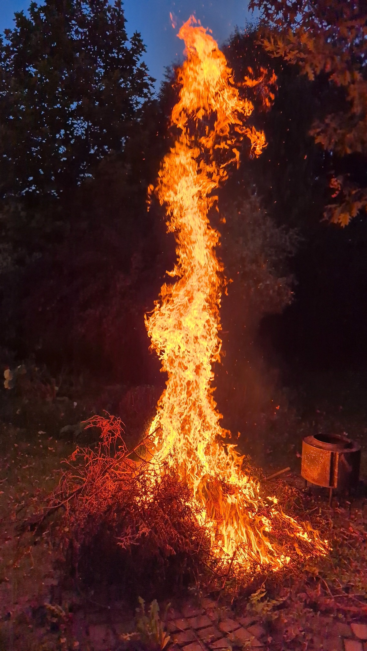 88feaf83-a8f3-4739-b84e-f377b62b147a