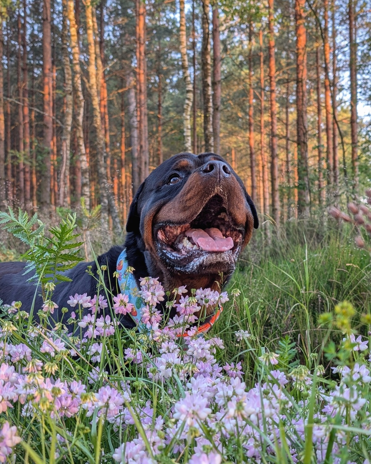 a4645ad6-e82b-4db5-9b56-0809522a4d64